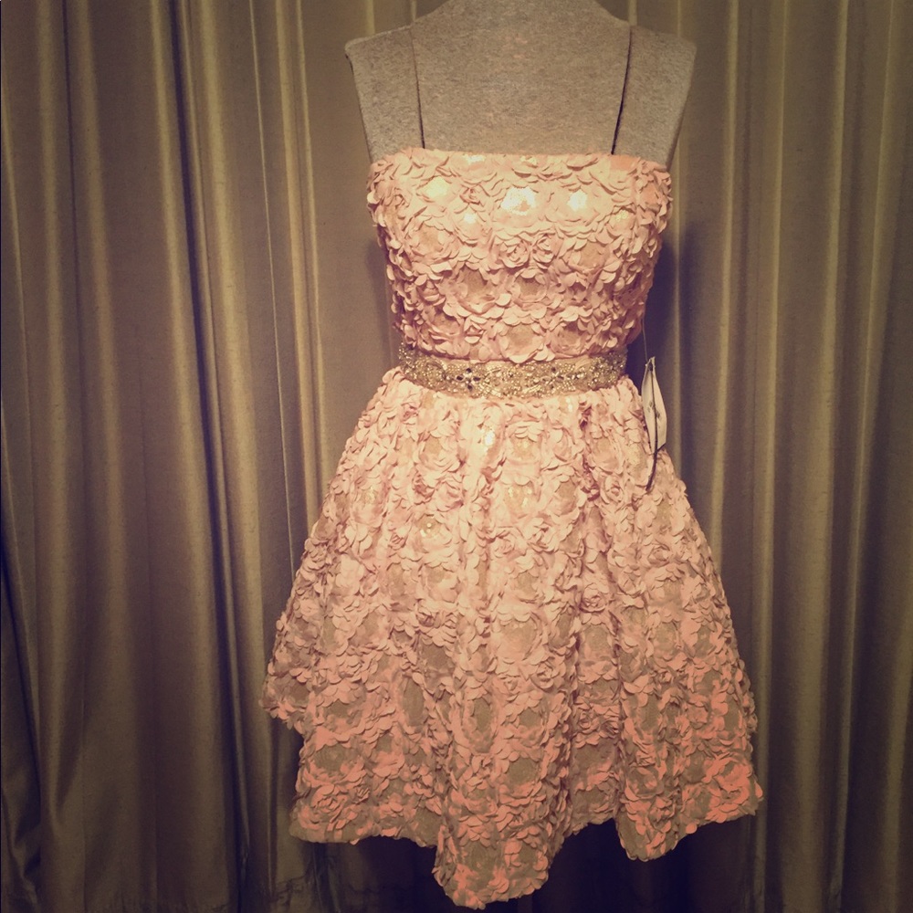 As U Wish Dress